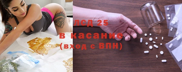 индика Горно-Алтайск