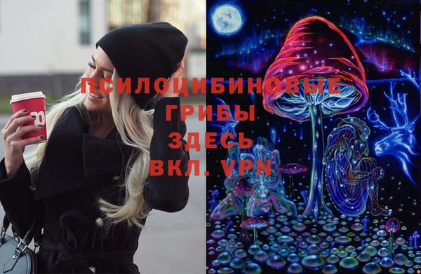 mdma Горняк