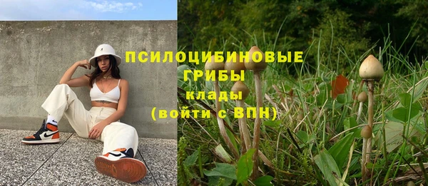 индика Горно-Алтайск