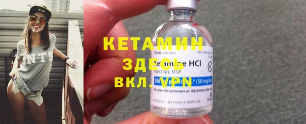 индика Горно-Алтайск