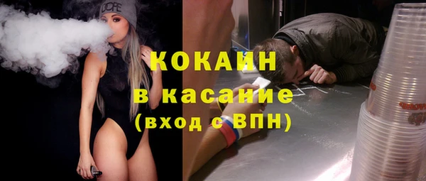 индика Горно-Алтайск