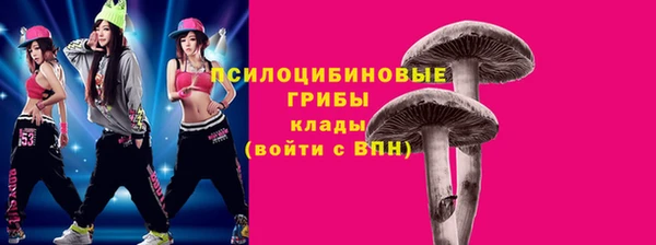 индика Горно-Алтайск