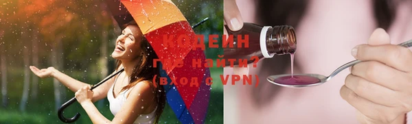 индика Горно-Алтайск