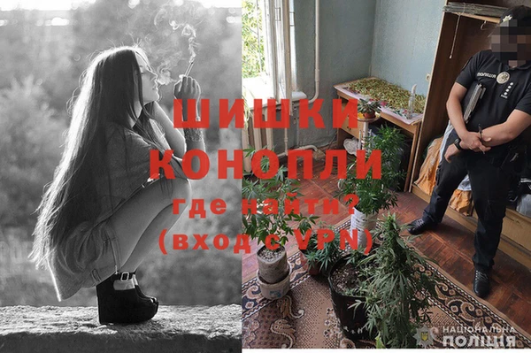 mdma Горняк