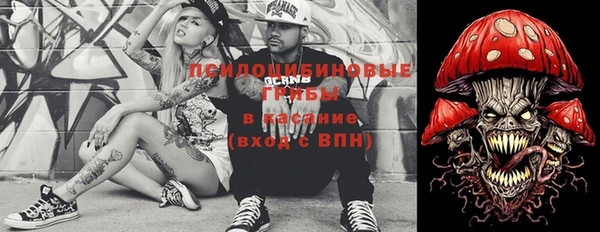 индика Горно-Алтайск