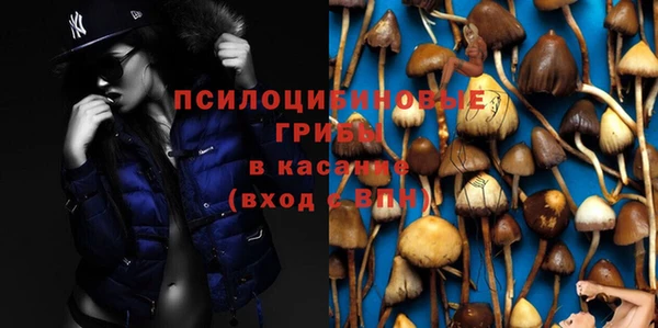 индика Горно-Алтайск