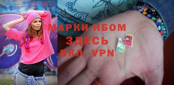 индика Горно-Алтайск